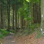 Ferienhaus In Altenfeld Thueringen Mit Garten Nyaraló