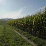 Casa de Férias In Thueringen Mit Garten *