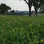 度假居 In Thueringen Mit Garten Altenfeld (Thuringia)