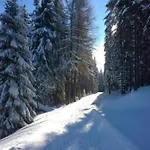 In Thueringen Mit Garten 度假居 *