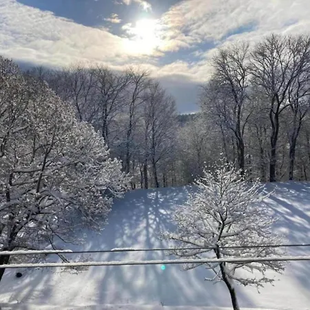 Gorgeous In Thuringia Altenfeld (Thuringia)