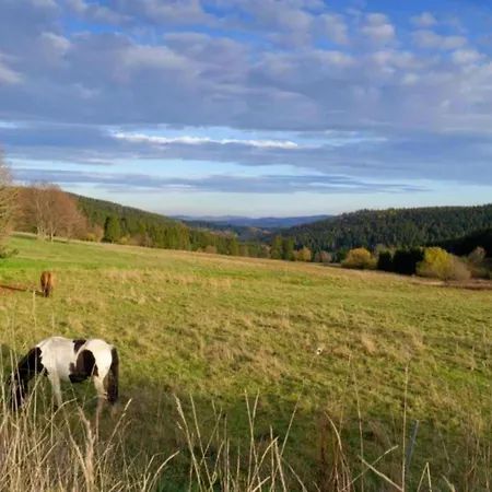 Gorgeous In Thuringia Tatil Evi *