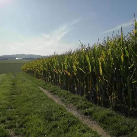 度假居 In Thueringen Mit Garten *