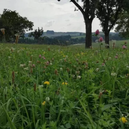 Ferienhaus In Altenfeld Thueringen Mit Garten *