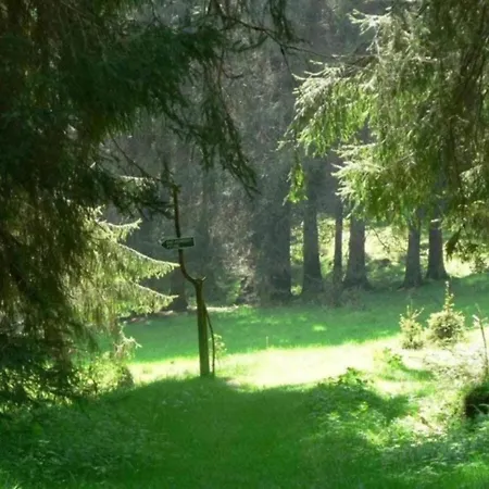 In Thueringen Mit Garten 度假居 *