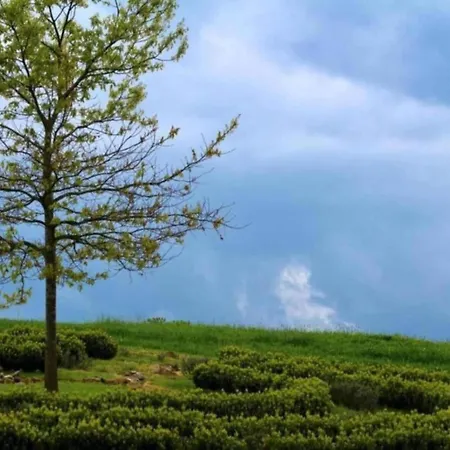 Tatil Evi In Thueringen Mit Garten