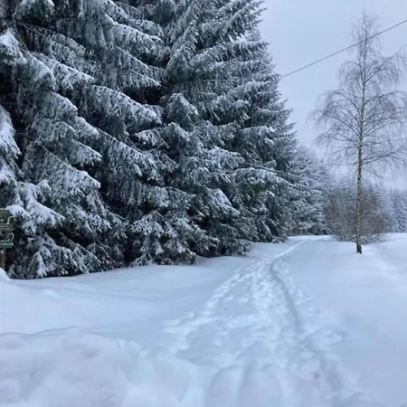 度假居 In Thueringen Mit Garten Altenfeld (Thuringia)