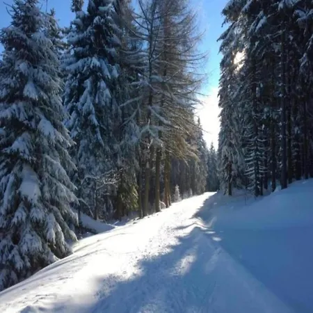 In Thueringen Mit Garten Tatil Evi *
