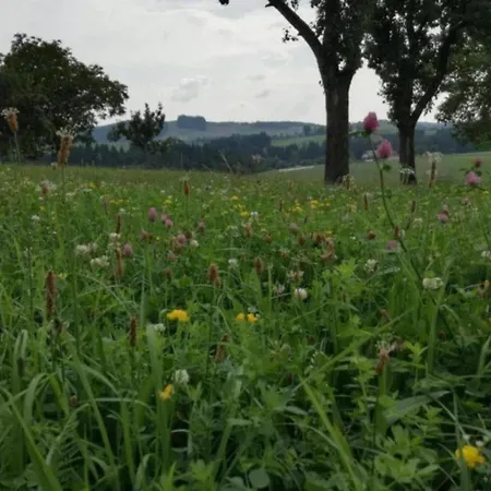 In Thueringen Mit Garten Altenfeld (Thuringia)