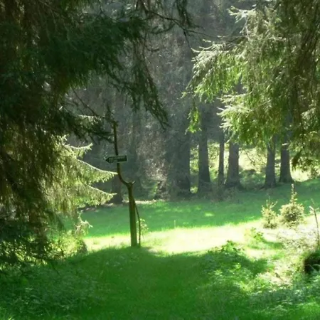In Thueringen Mit Garten * Altenfeld (Thuringia)