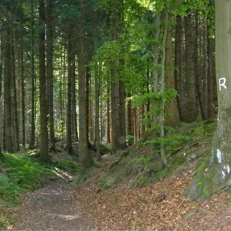 In Thueringen Mit Garten 度假居