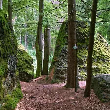 In Thueringen Mit Garten Tatil Evi *
