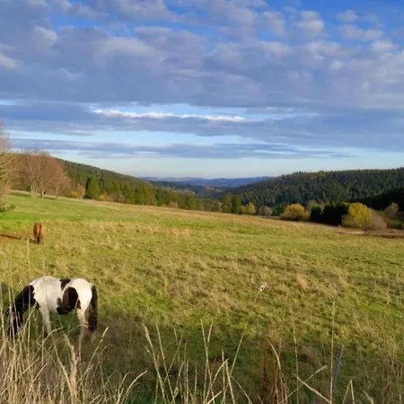 度假居 In Thueringen Mit Garten *