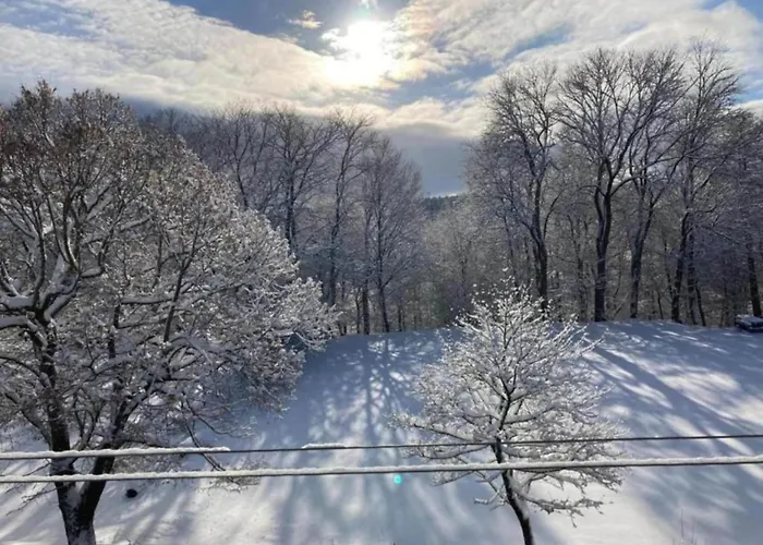 Gorgeous In Thuringia * Altenfeld (Thuringia)