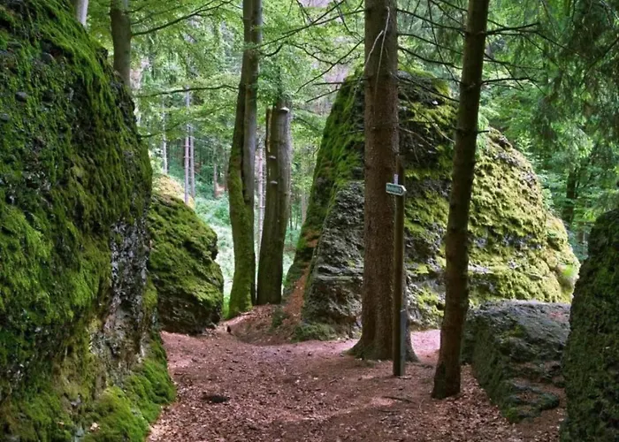 Casa de Férias Ferienhaus In Altenfeld Thueringen Mit Garten *