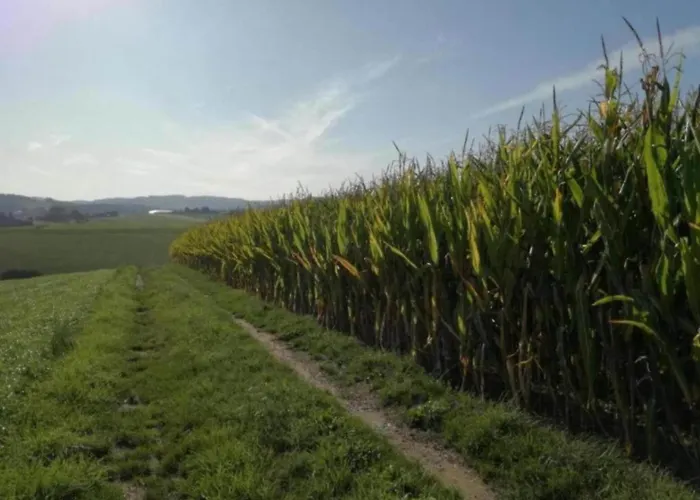 Casa vacanze Gorgeous In Thuringia Altenfeld (Thuringia)