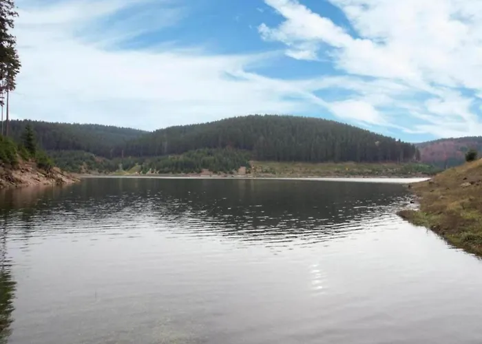 Ferienhaus In Altenfeld Thueringen Mit Garten Altenfeld (Thuringia)