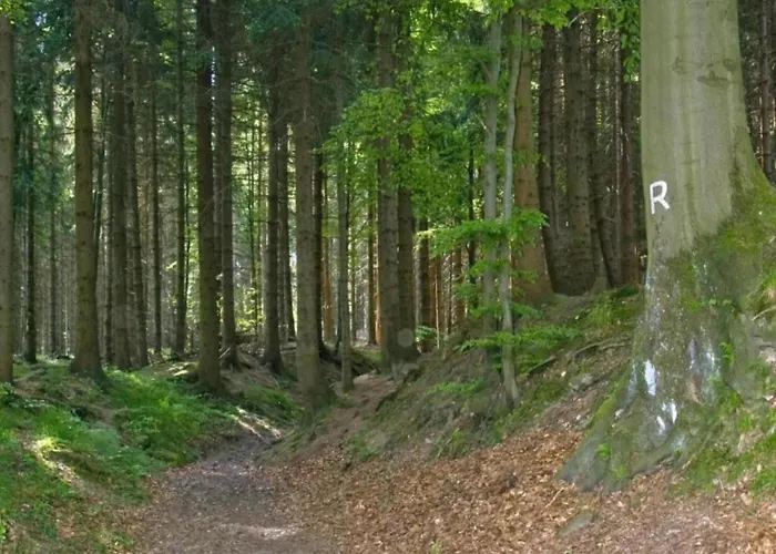 Ferienhaus In Altenfeld Thueringen Mit Garten Tatil Evi