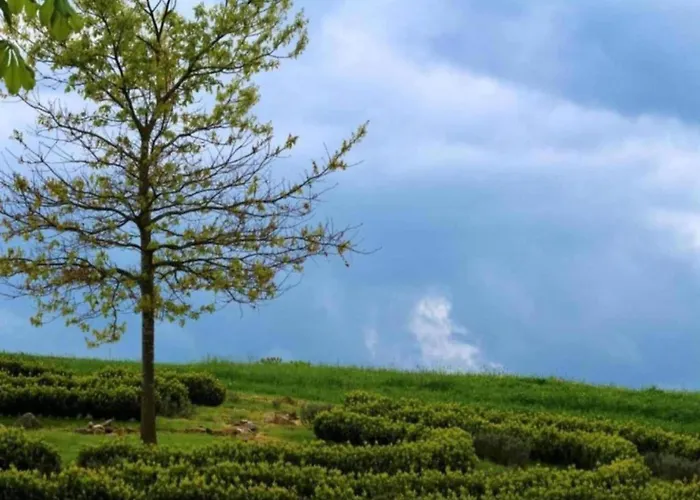 Tatil Evi Gorgeous In Thuringia