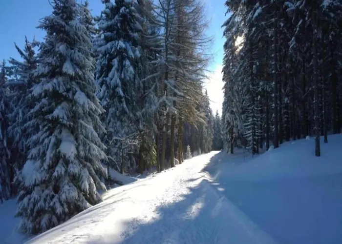 Gorgeous In Thuringia Altenfeld (Thuringia)