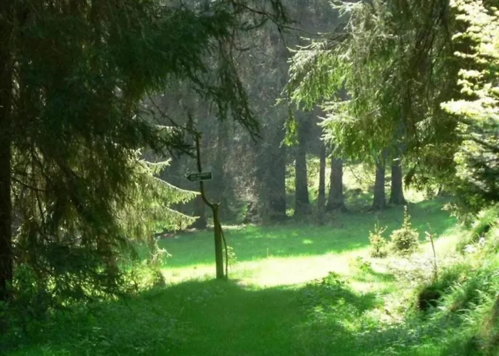 Gorgeous In Thuringia * Altenfeld (Thuringia)