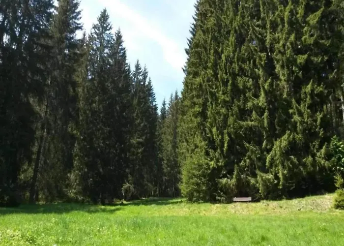 Ferienhaus In Altenfeld Thueringen Mit Garten * Altenfeld (Thuringia)