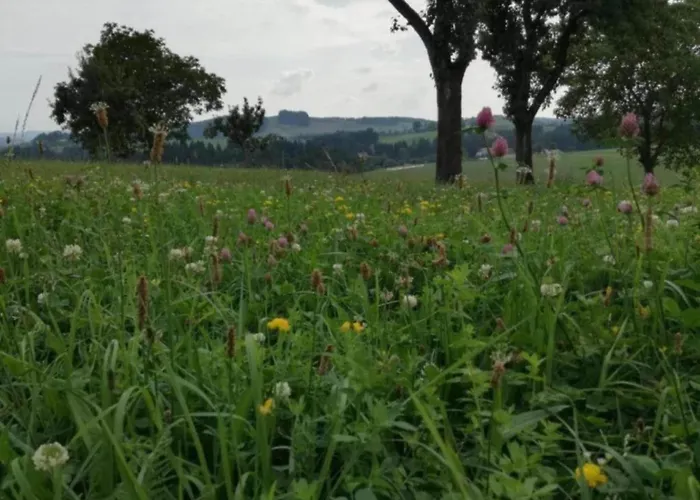 Ferienhaus In Altenfeld Thueringen Mit Garten *