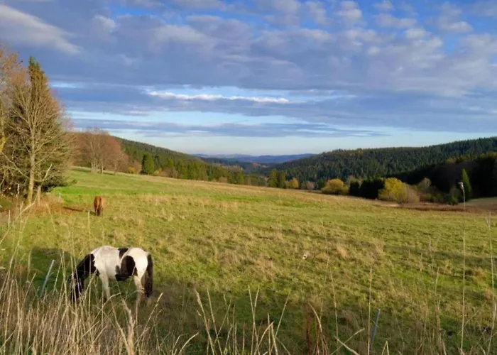 Tatil Evi Ferienhaus In Altenfeld Thueringen Mit Garten *